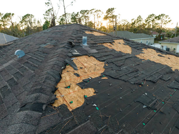 Best Emergency Roof Repair Services  in Lukachukai, AZ