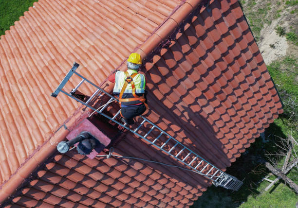 Best Steel Roofing  in Lukachukai, AZ