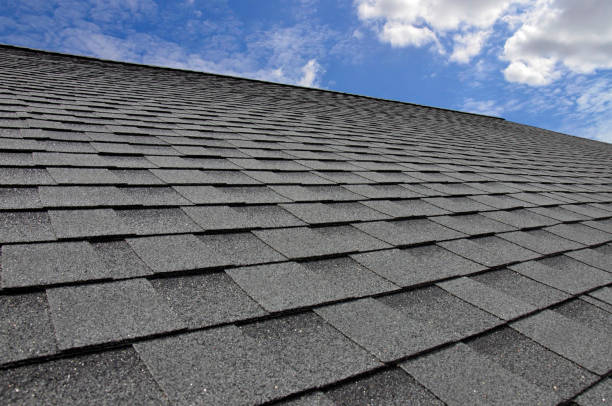 Best Asphalt Shingles Roofing  in Lukachukai, AZ